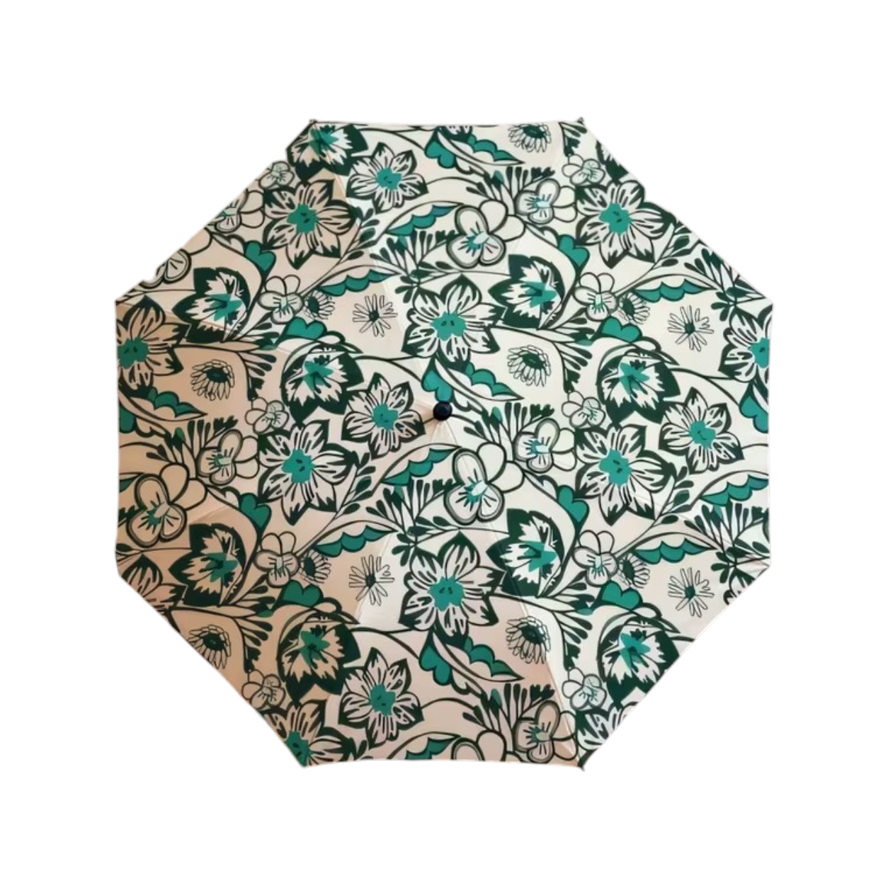 Carina Umbrella