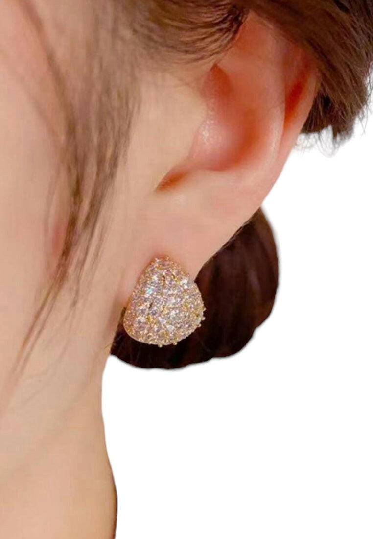 Cubic Zirconia Teardrop Shaped Earrings