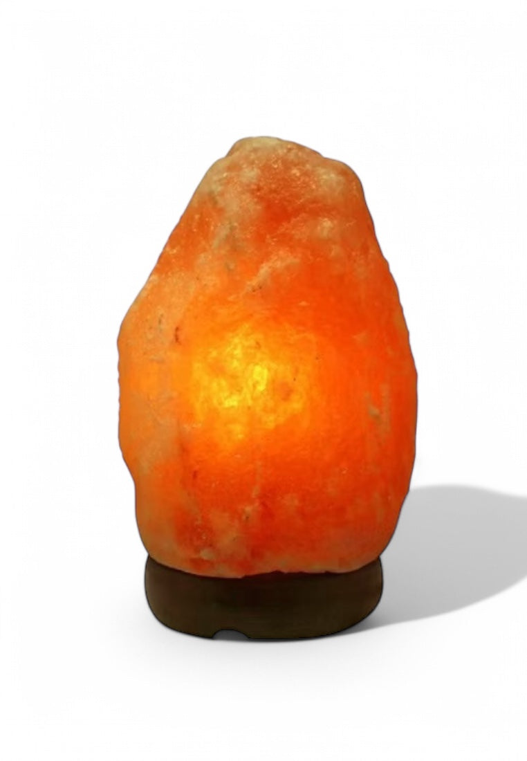 ESTILO 2kg Himalayan Salt Lamp