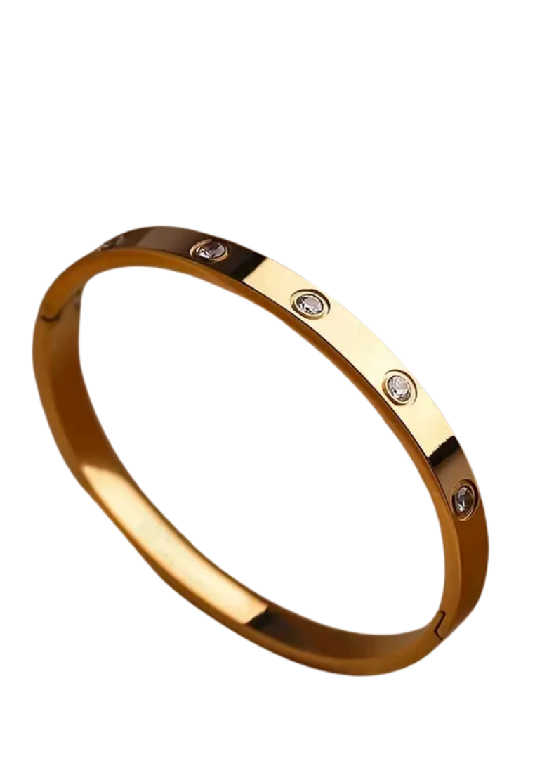 Titanium Steel Rhinestone Bangle bracelet