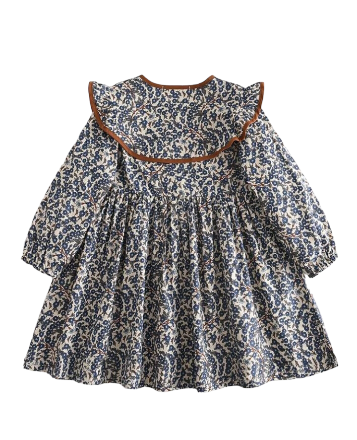 Toddler Girls Ditsy Floral Peter Pan Collar Smock Dress