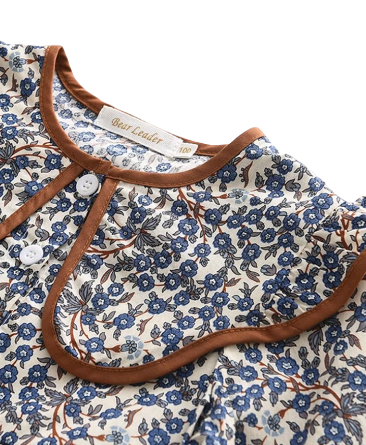 Toddler Girls Ditsy Floral Peter Pan Collar Smock Dress