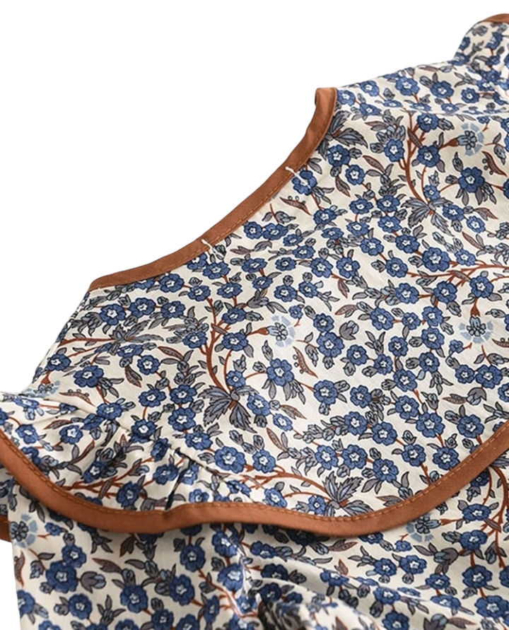 Toddler Girls Ditsy Floral Peter Pan Collar Smock Dress