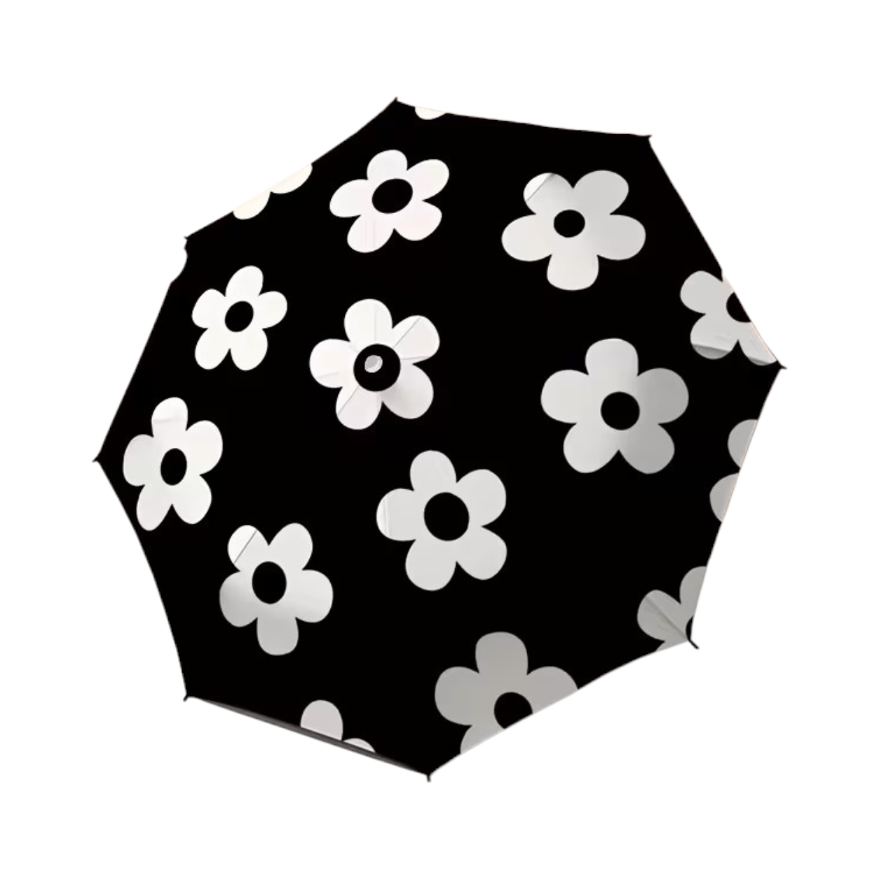 Black Daisy Umbrella