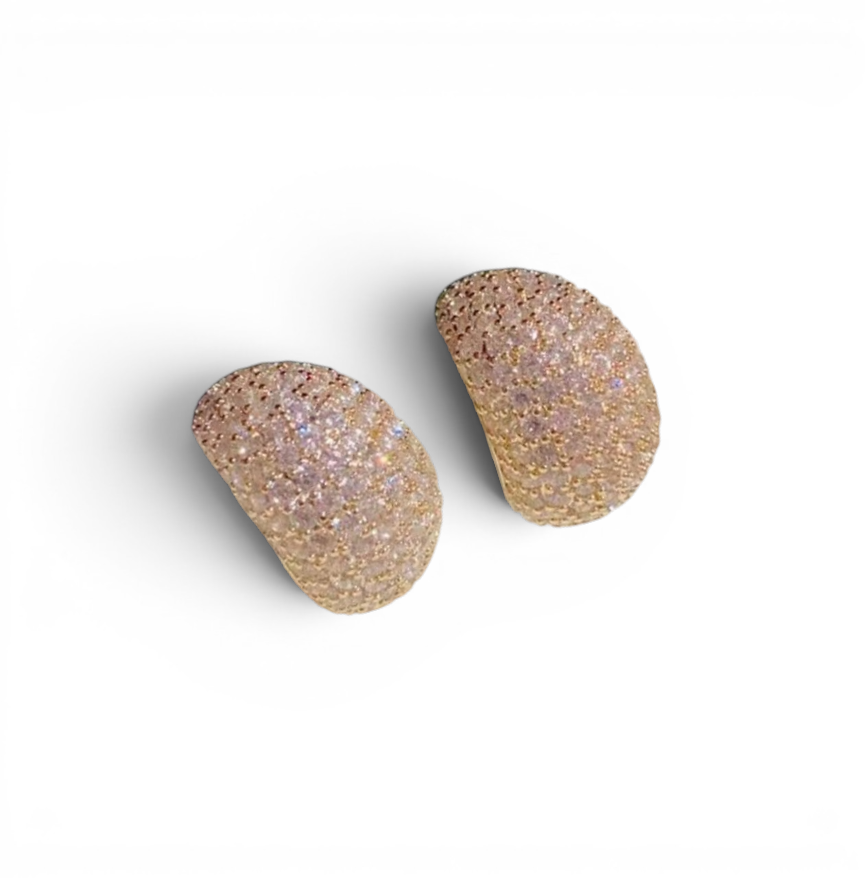 Cubic Zirconia Decor Stud Earrings